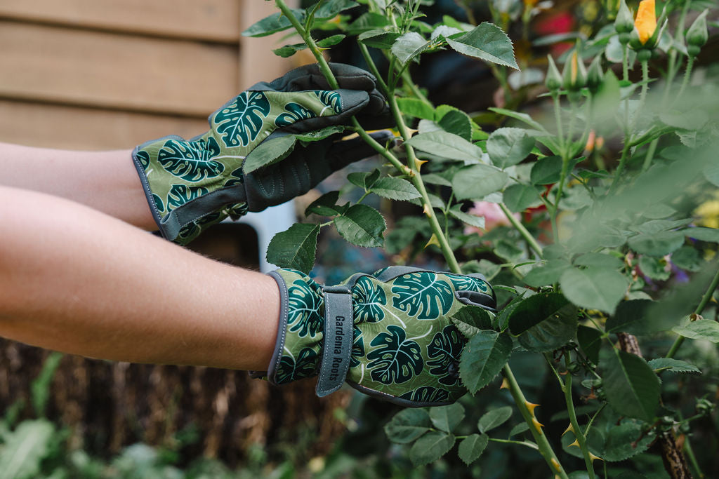 Monstera Gartenhandschuhe – Für grüne Hände mit Gefühl